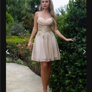 Elegant Cream and Gold Embellished Mini Dress